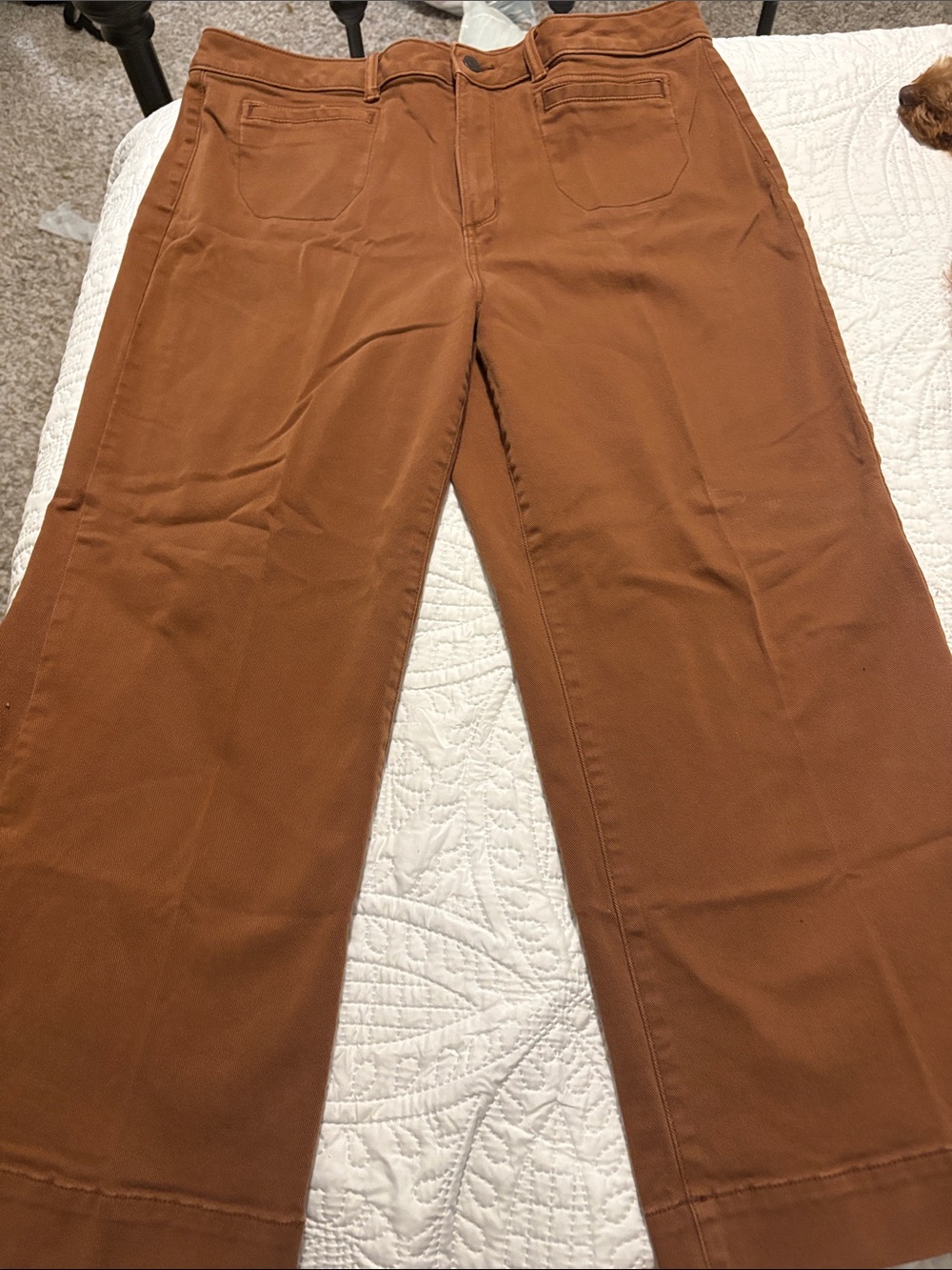 Sonoma Cropped Wide-Leg Pants in Russet Brown